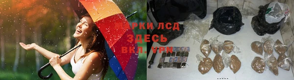 PSILOCYBIN Алексин