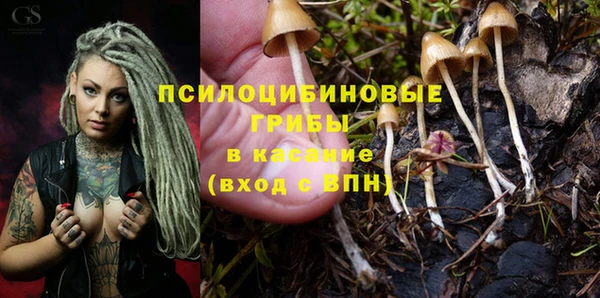 PSILOCYBIN Алексин