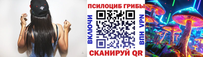 купить наркотики сайты  Закаменск  Псилоцибиновые грибы Cubensis 